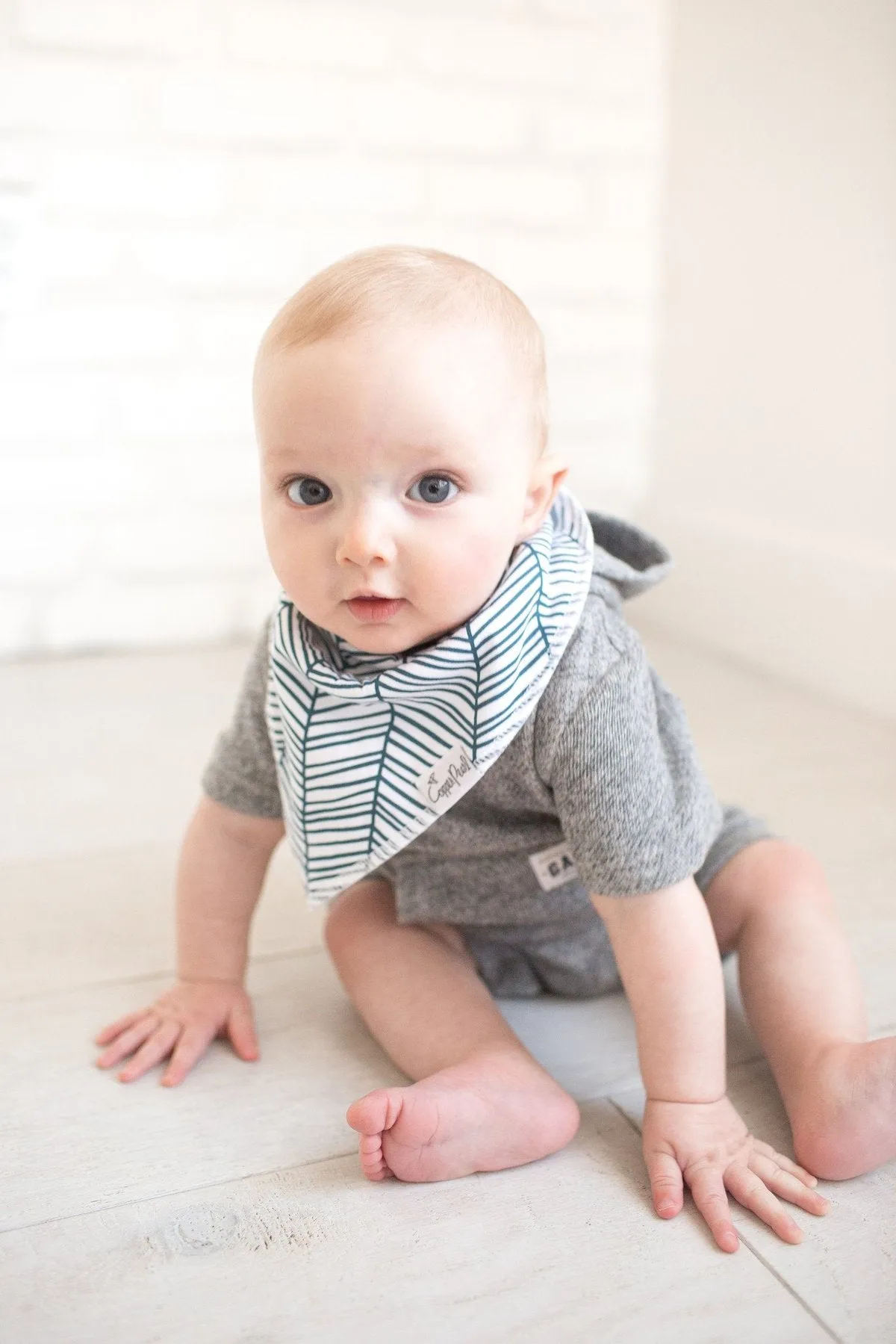 Cruise Bandana Bibs