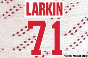 Dylan Larkin #71
