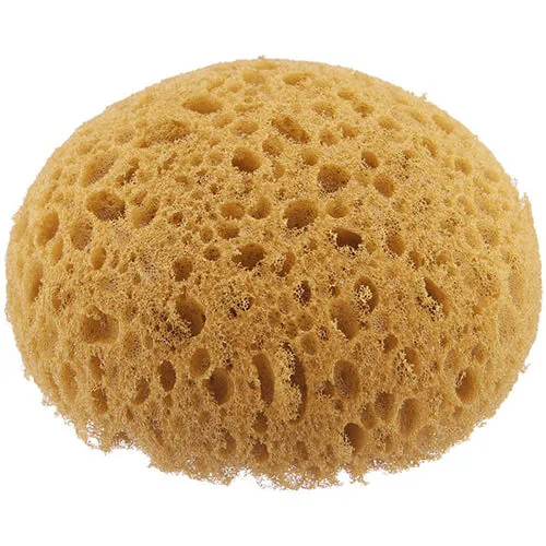 Honey Comb Tack Sponge