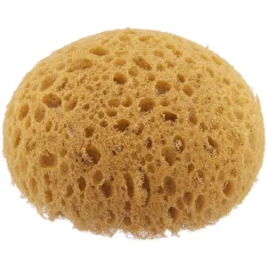 Honey Comb Tack Sponge