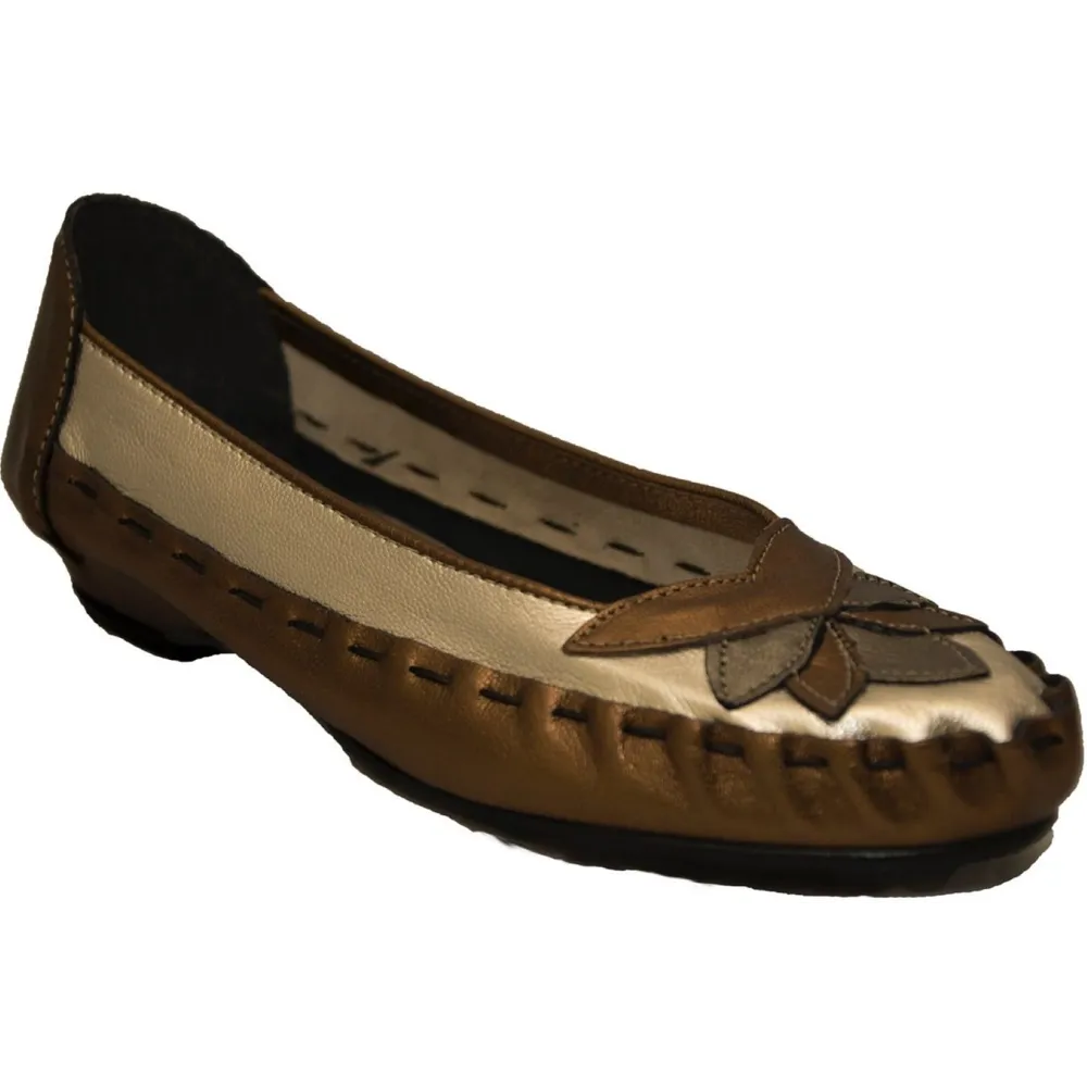 Zaccho Taylor 184 Bronze/Gold Shoes